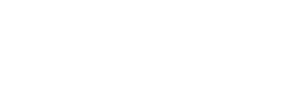 Founder Simulator Logo